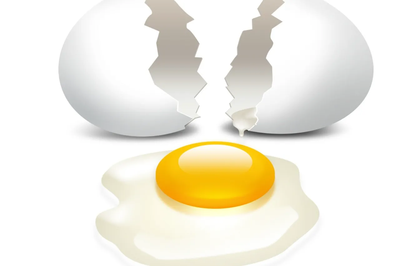 Photo wallpaper egg, shell, the yolk, broken, protein