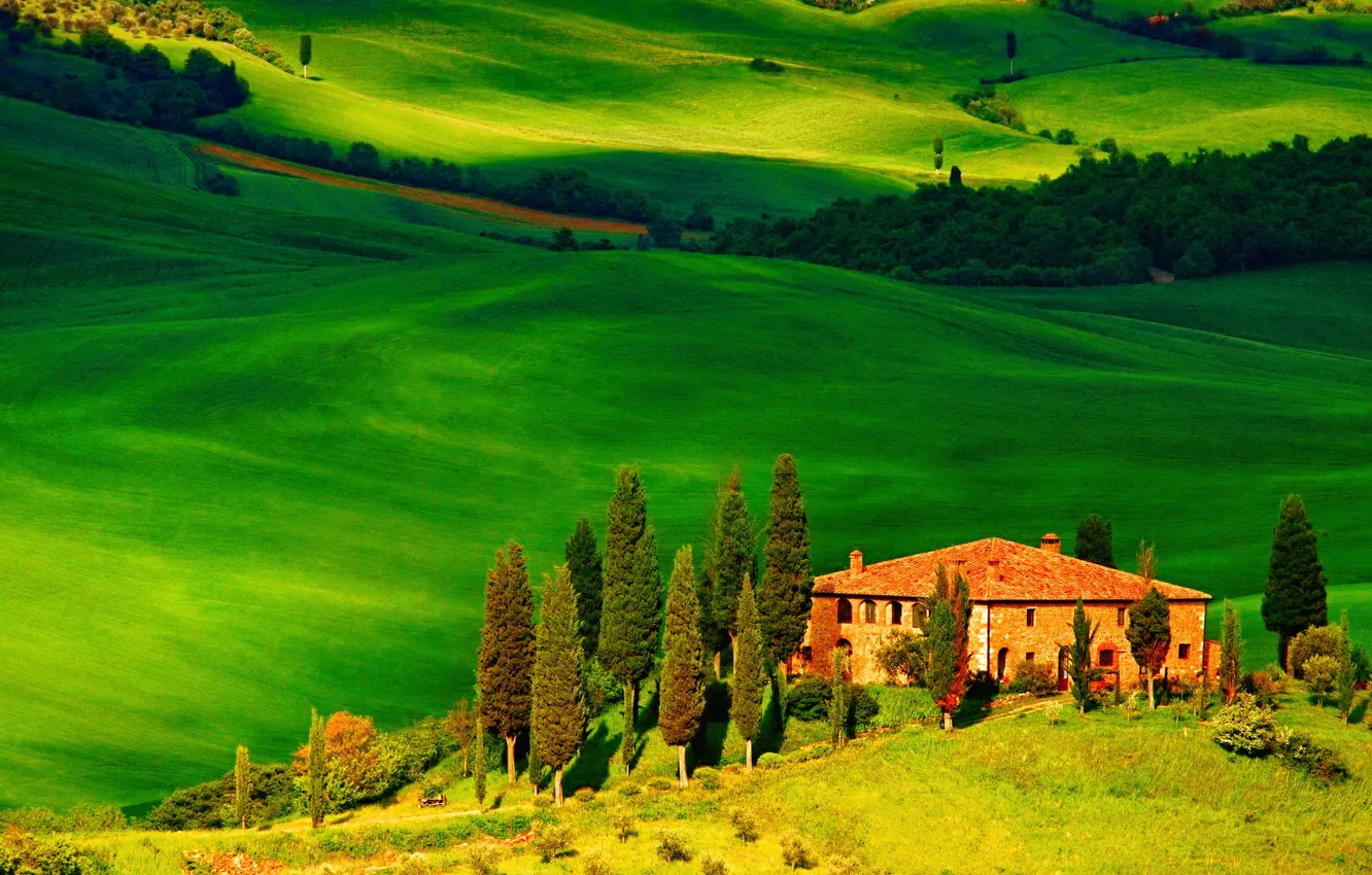 Photo wallpaper field, trees, house, hills, Italy, Tuscany