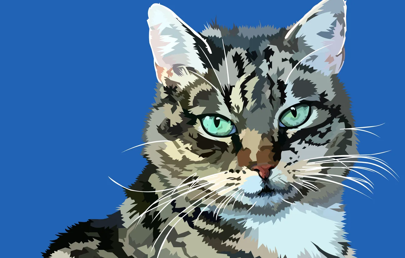 Photo wallpaper cat, mustache, background, vector, muzzle, Murzik