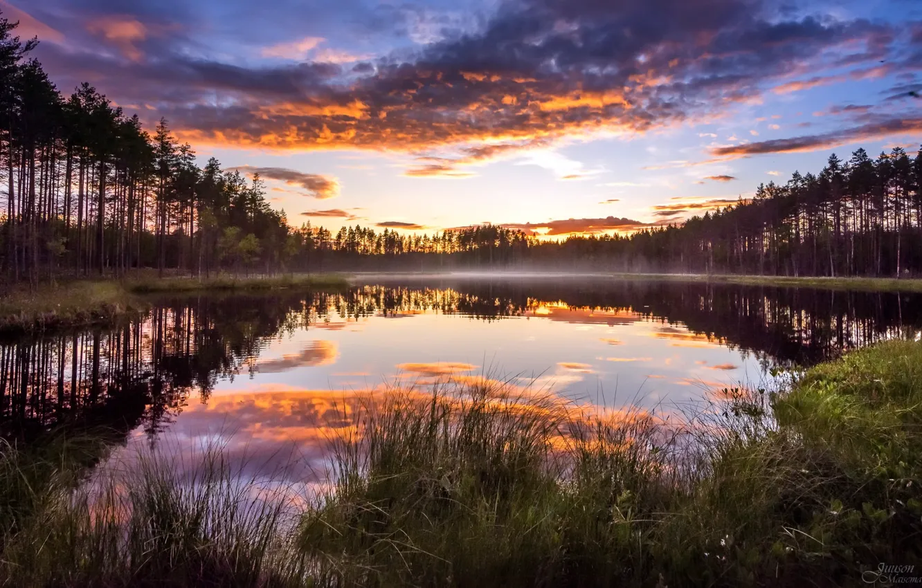 Photo wallpaper forest, sunset, fog, lake