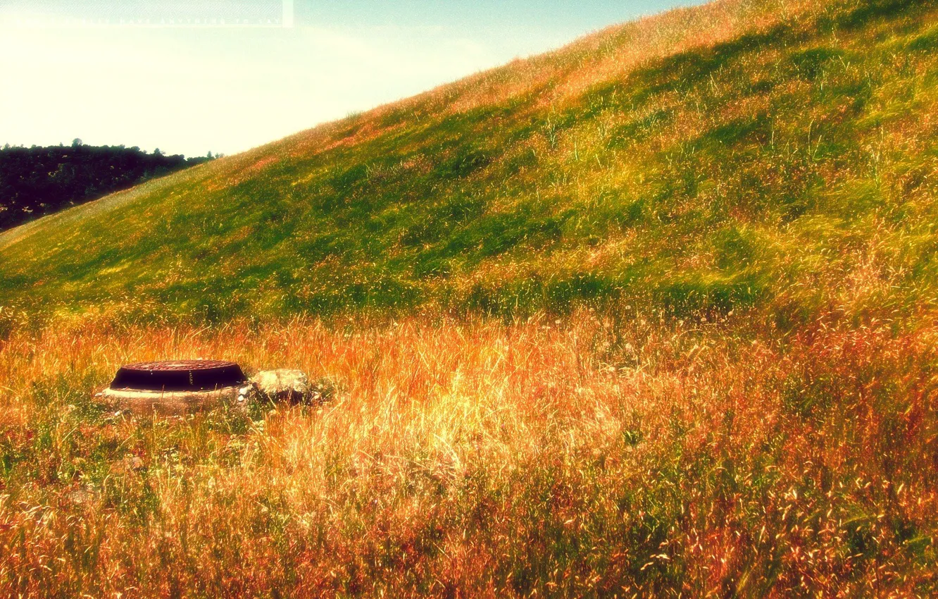 Photo wallpaper autumn, bright colors, landscape, yellow grass, nature, style, landscape, rusty manhole cover