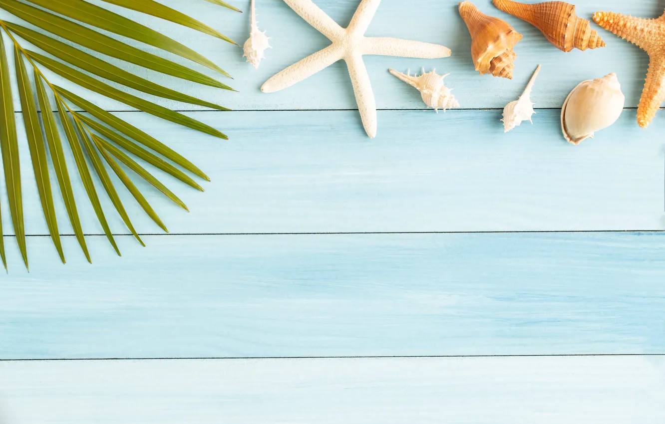 Photo wallpaper beach, summer, stars, Board, shell, summer, beach, wood