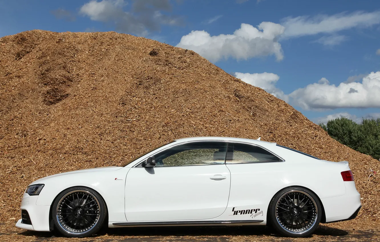 Photo wallpaper Audi, Audi, tuning, profile, white, 2012, Germany, Coupe