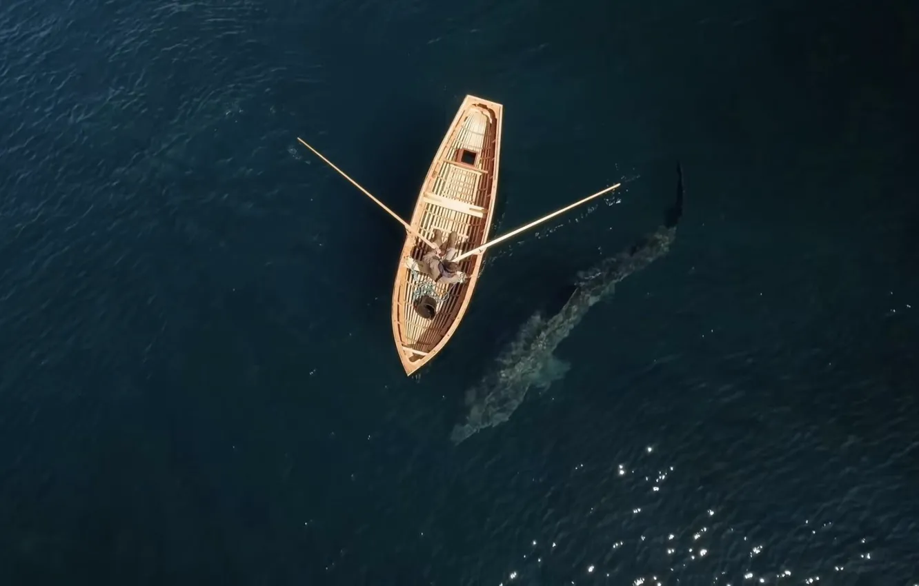 Photo wallpaper sea, boat, shark, fisherman, top, paddle, Basking Shark underneath boat off the coast of Ire, …