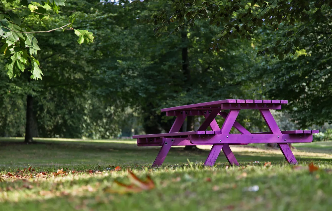 Photo wallpaper macro, bench, nature, purple