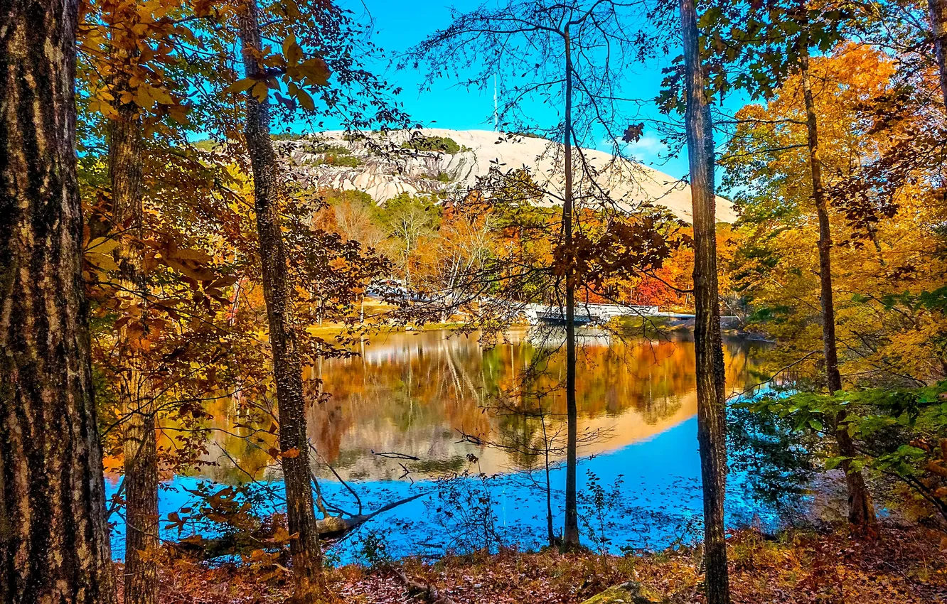 Photo wallpaper autumn, leaves, trees, yellow, lake, USA, Stone Mountain Park