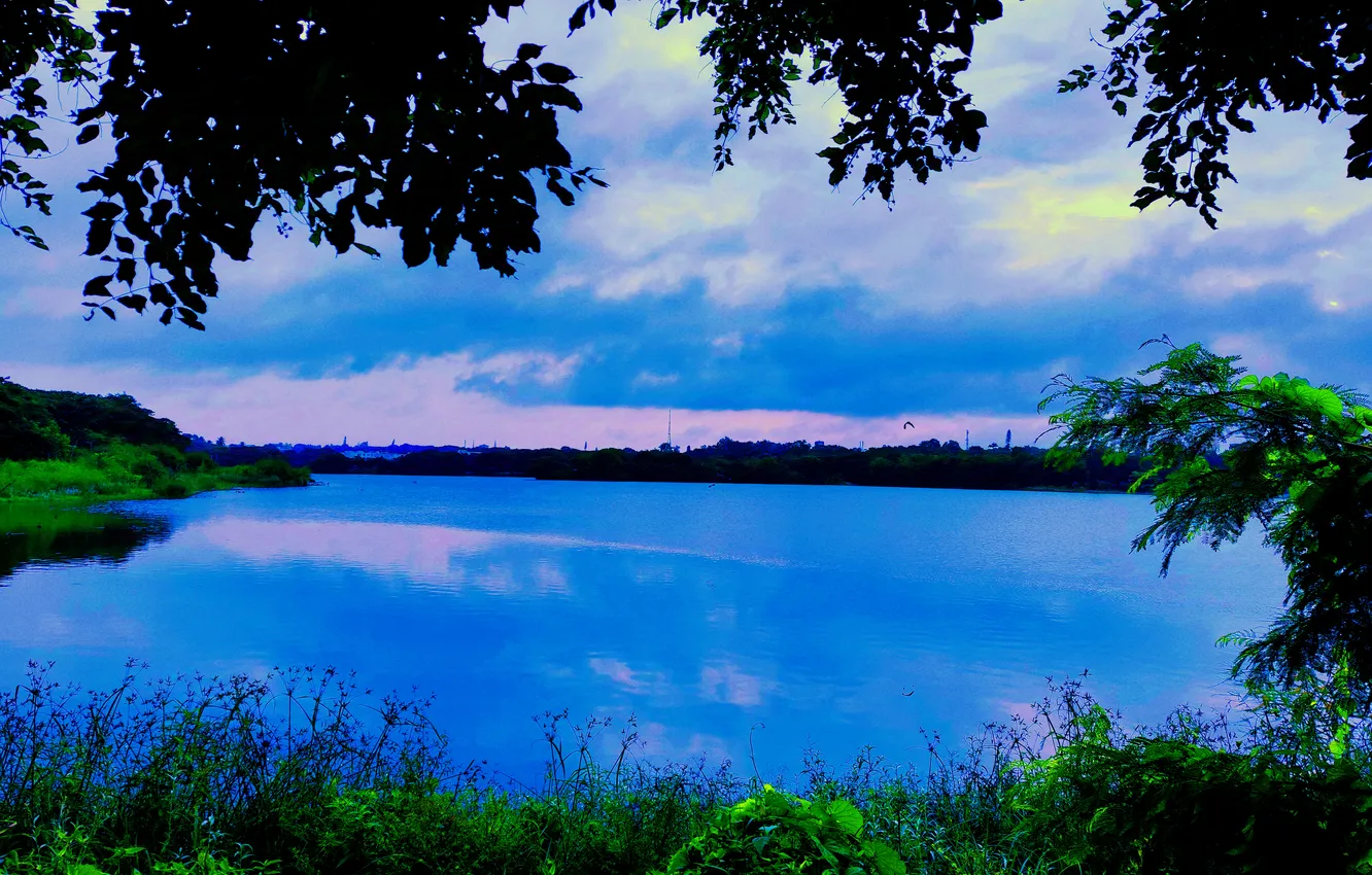 Photo wallpaper sky, trees, water, clouds, lake, morning, bushes, sunrise