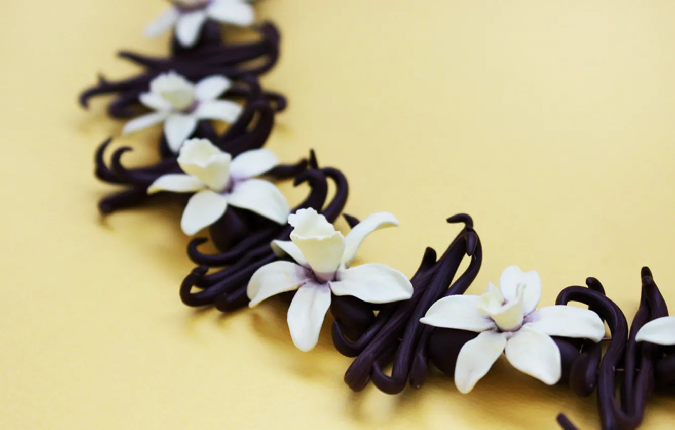 Photo wallpaper flowers, wreath, vanilla, vanilla flowers