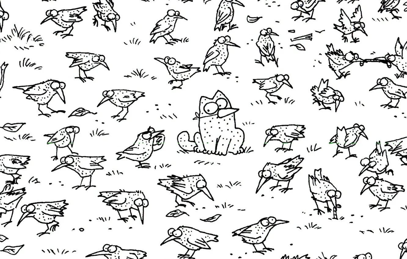 Photo wallpaper cat, point, crows