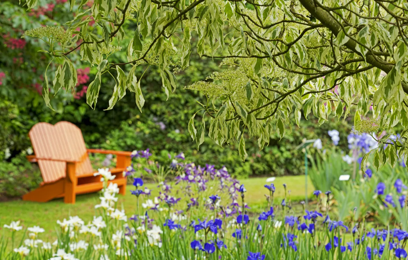 Photo wallpaper flowers, bench, Park, tree, irises, bokeh