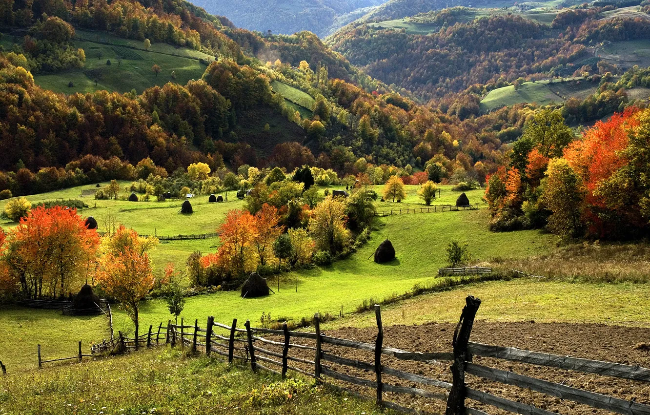 Photo wallpaper greens, forest, grass, trees, landscape, mountains, nature, the fence