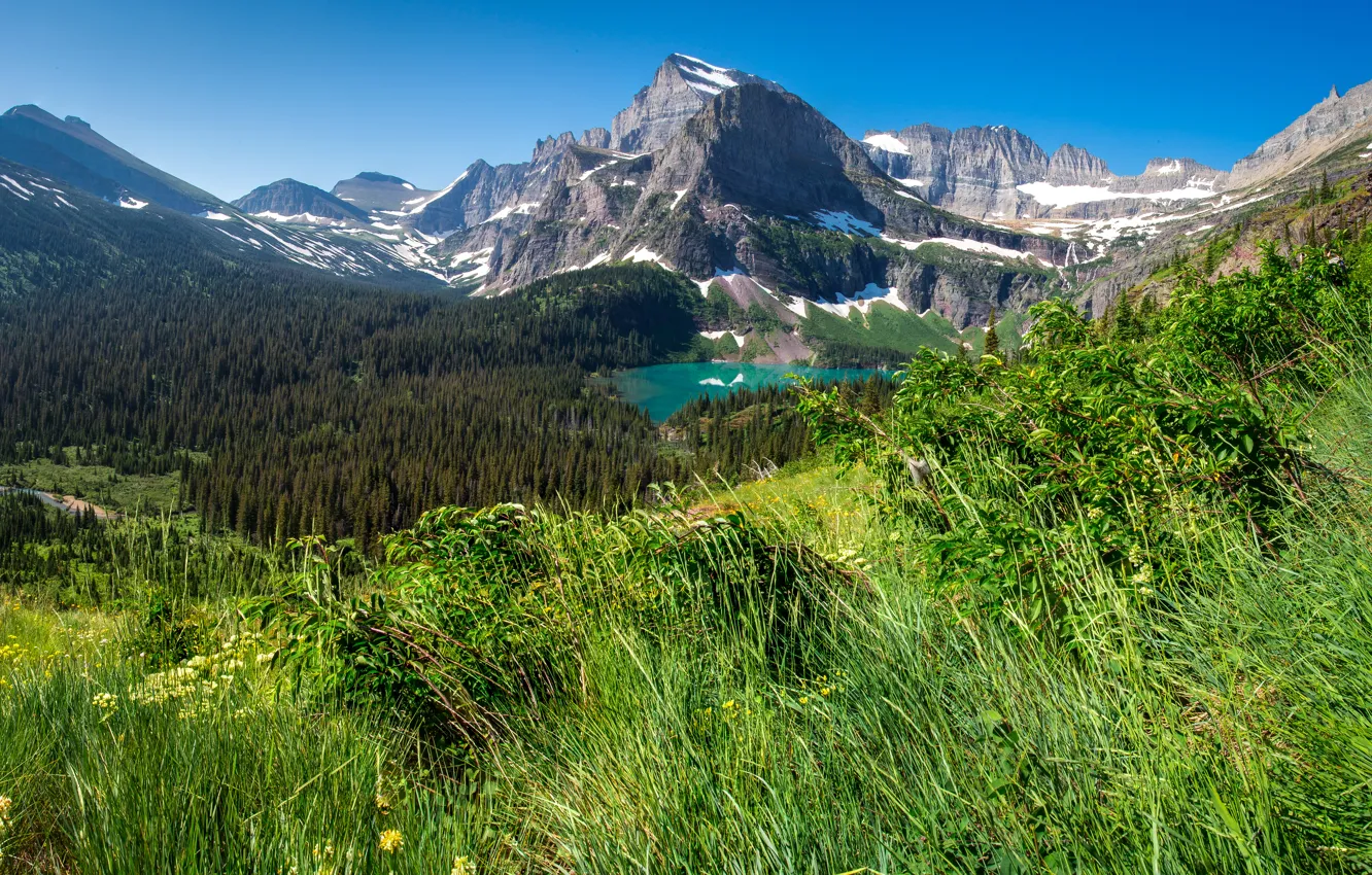 Photo wallpaper forest, grass, trees, mountains, lake, rocks, USA, the view from the top