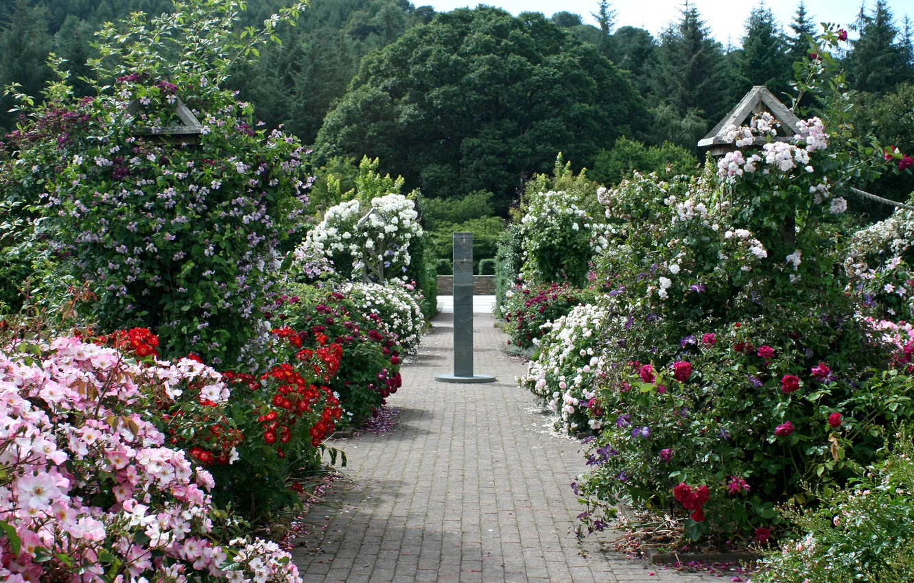 Photo wallpaper trees, flowers, England, roses, garden, track, colorful, the bushes