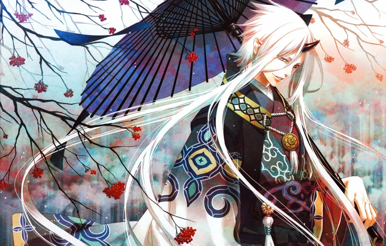 Photo wallpaper umbrella, anime, the demon, white hair, Kim