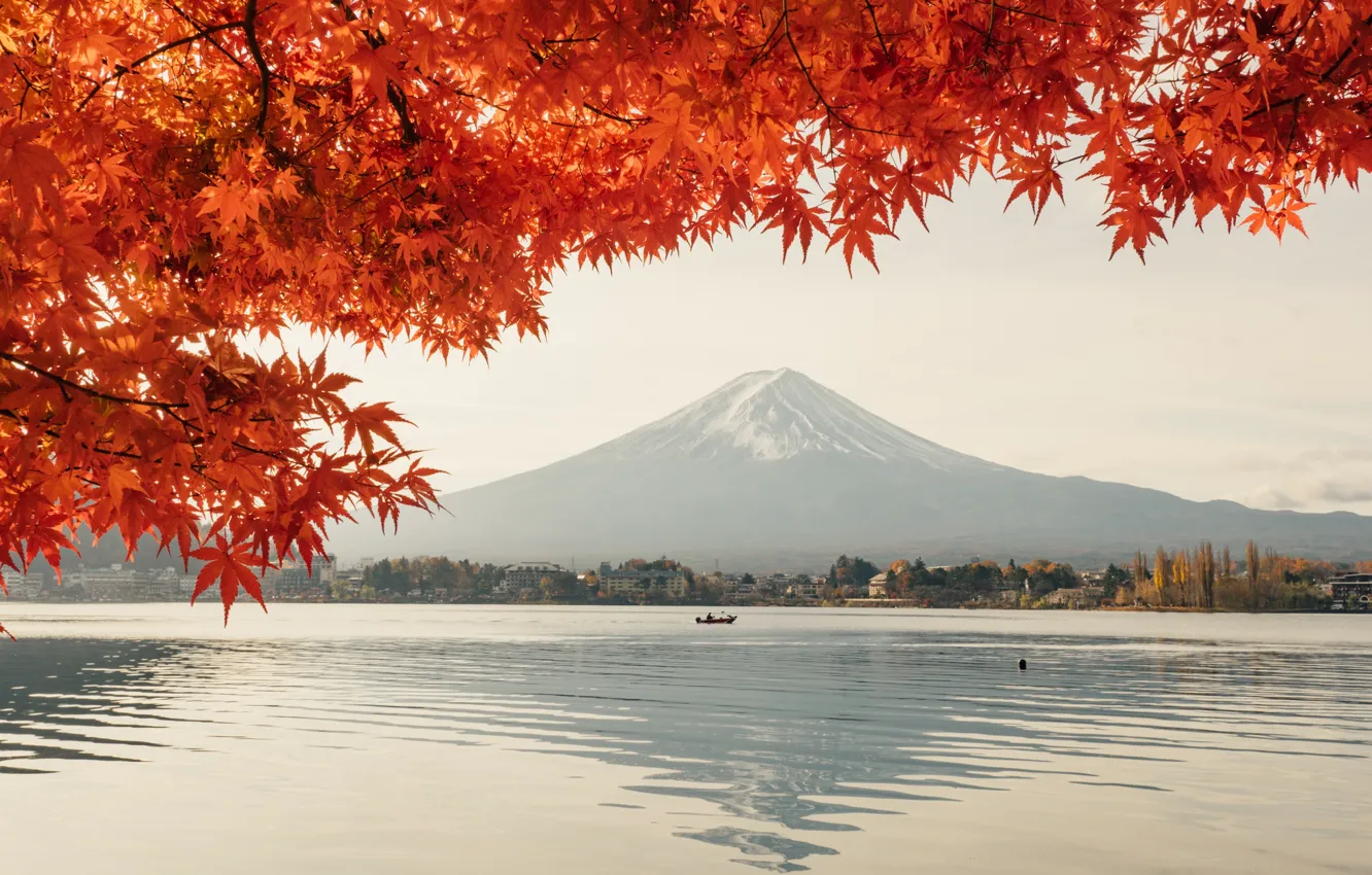 Photo wallpaper landscape, tree, the volcano, Mount Fuji