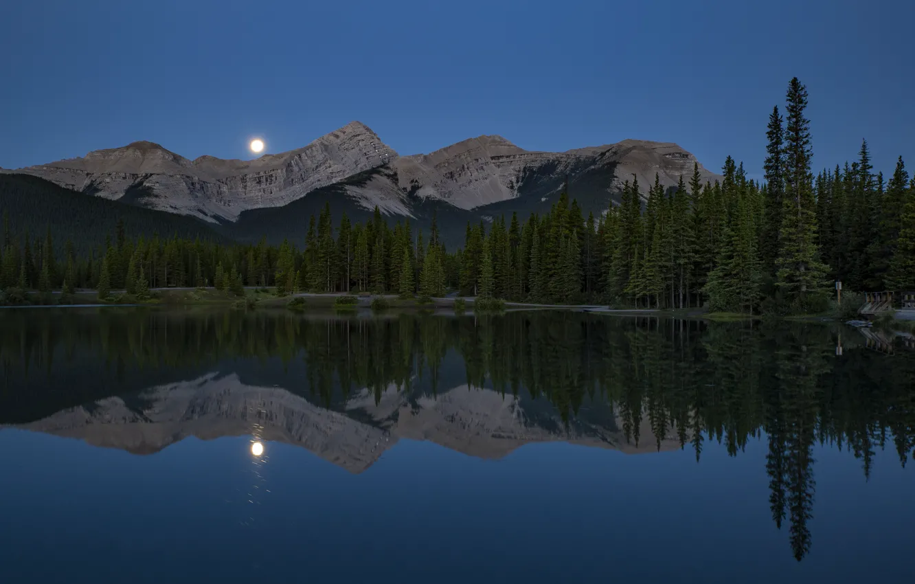 Photo wallpaper forest, mountains, night, reflection, the moon, shore, ate, Canada