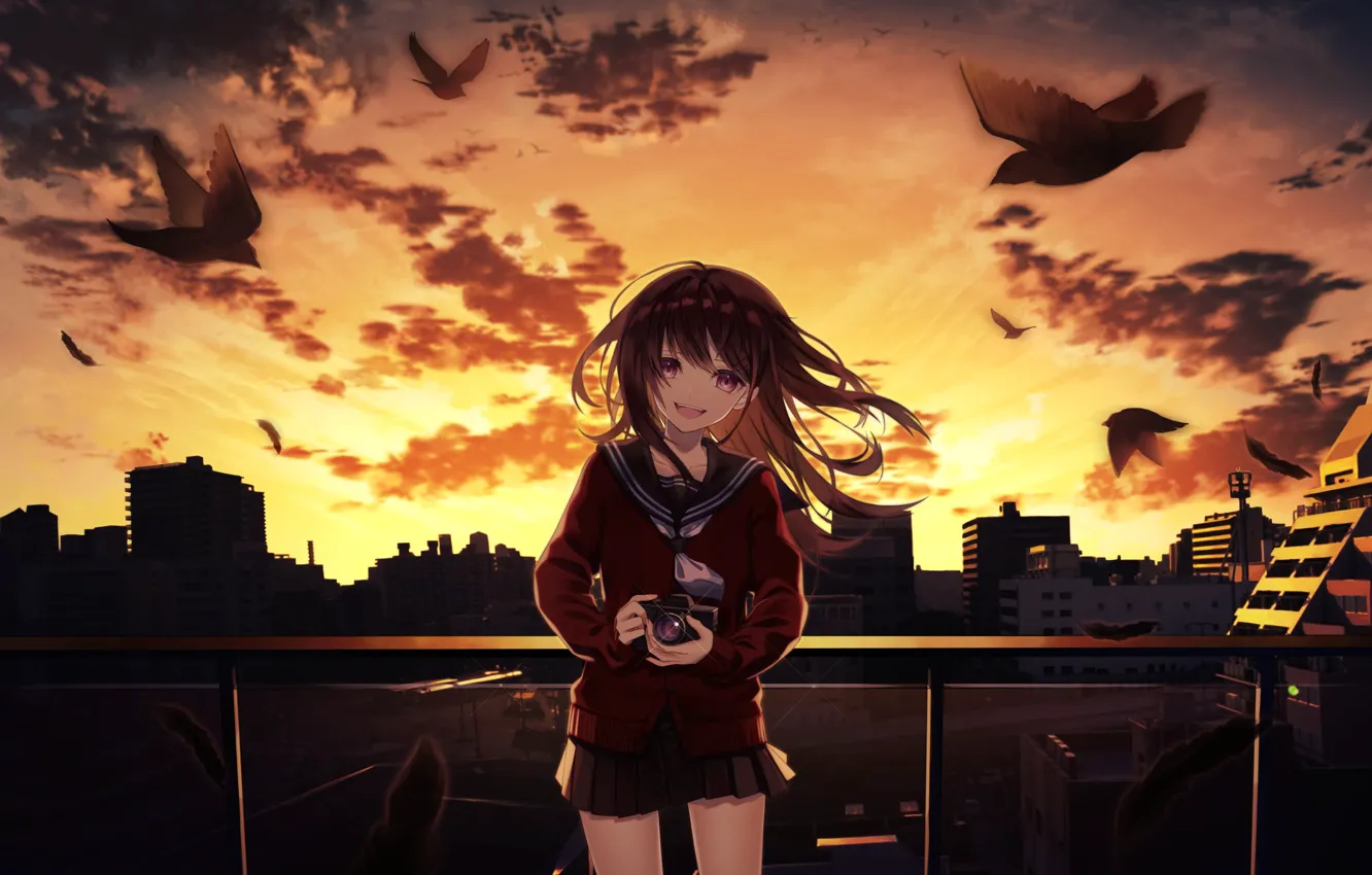 Photo wallpaper sunset, birds, smile, anime, art, the camera, girl, Natsu tor