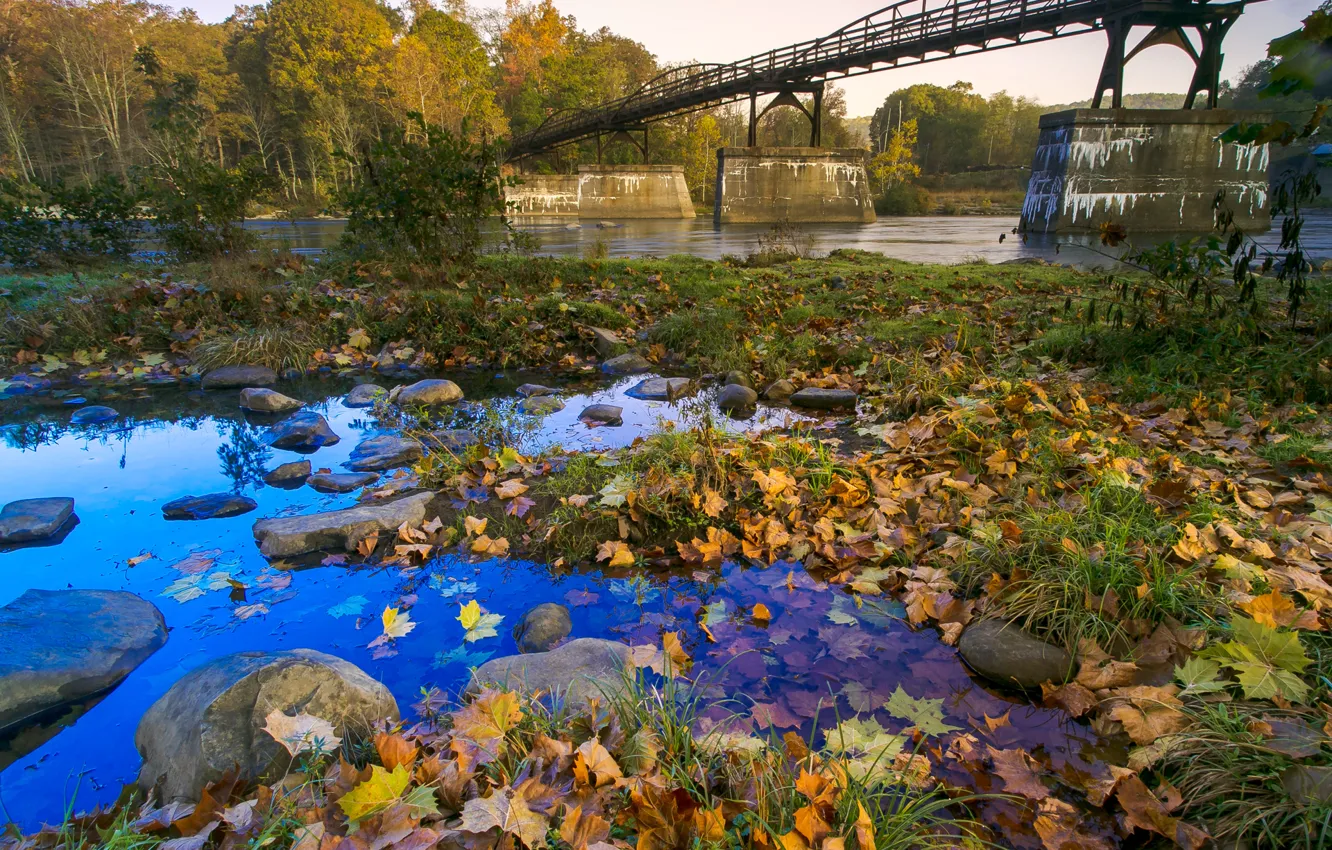 Photo wallpaper autumn, the sky, leaves, trees, bridge, river, stones, support