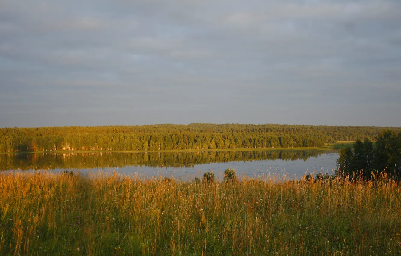 Photo wallpaper forest, the sky, grass, clouds, trees, landscape, river, background