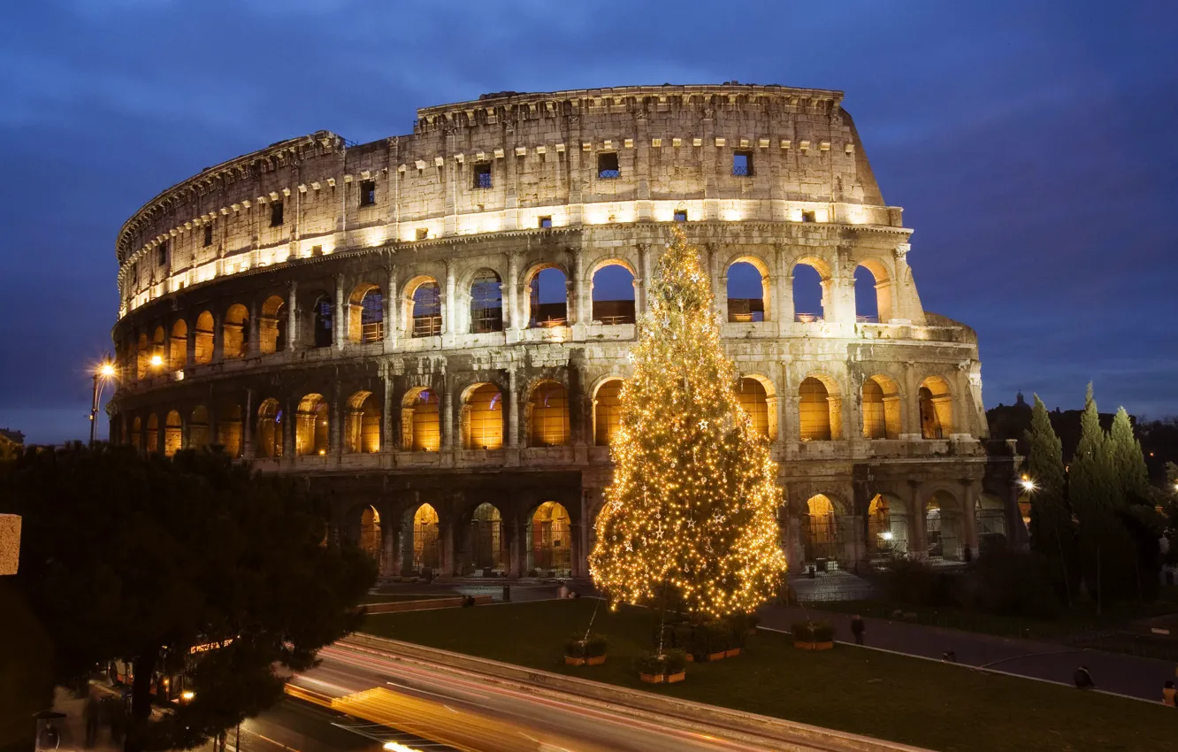 Photo wallpaper tree, Rome, Colosseum