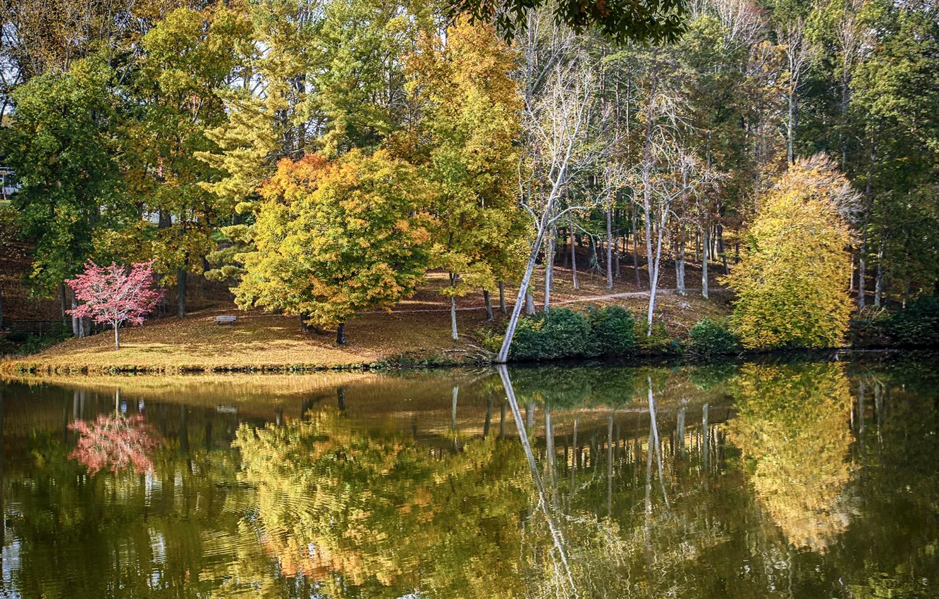 Photo wallpaper autumn, Park, river, USA, autumn, Lanier Martinsville Virginia