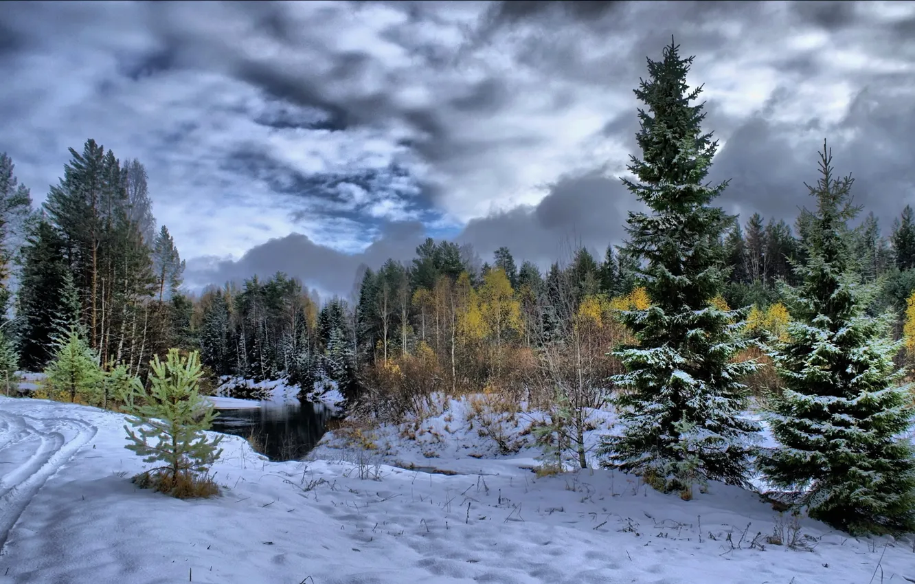 Photo wallpaper winter, forest, snow, trees, river
