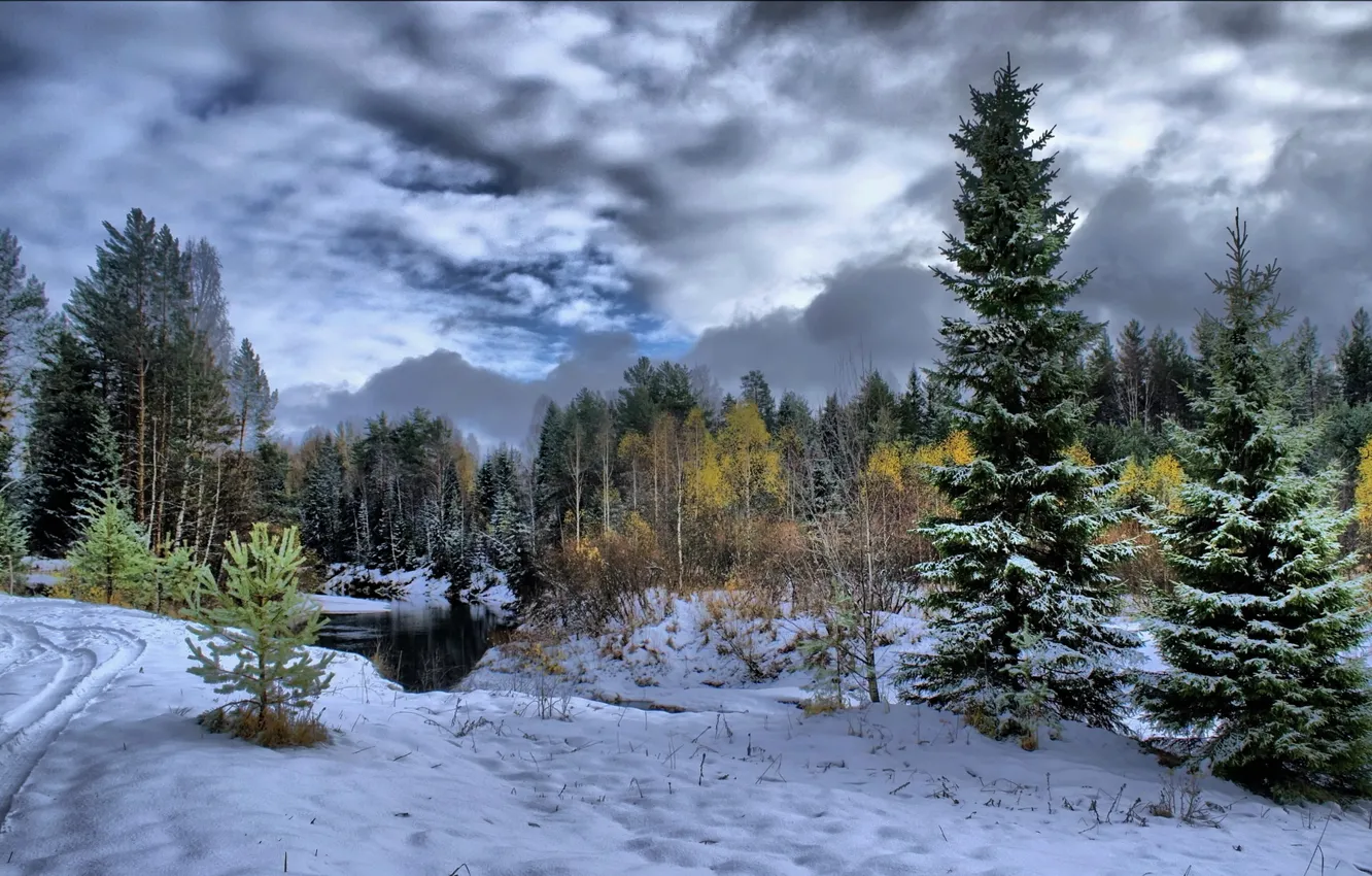 Photo wallpaper forest, snow, trees, river, Winter