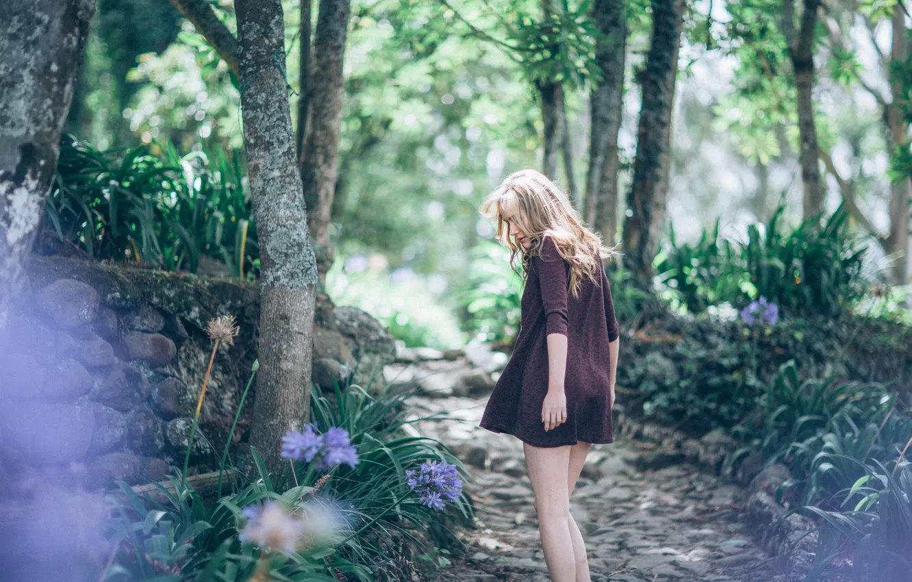 Photo wallpaper forest, girl, trees, dress