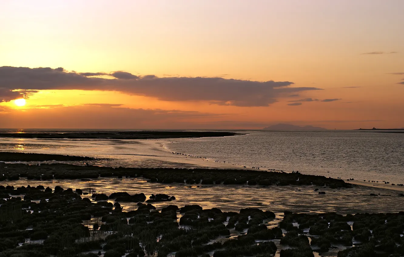 Photo wallpaper water, the sun, clouds, shore