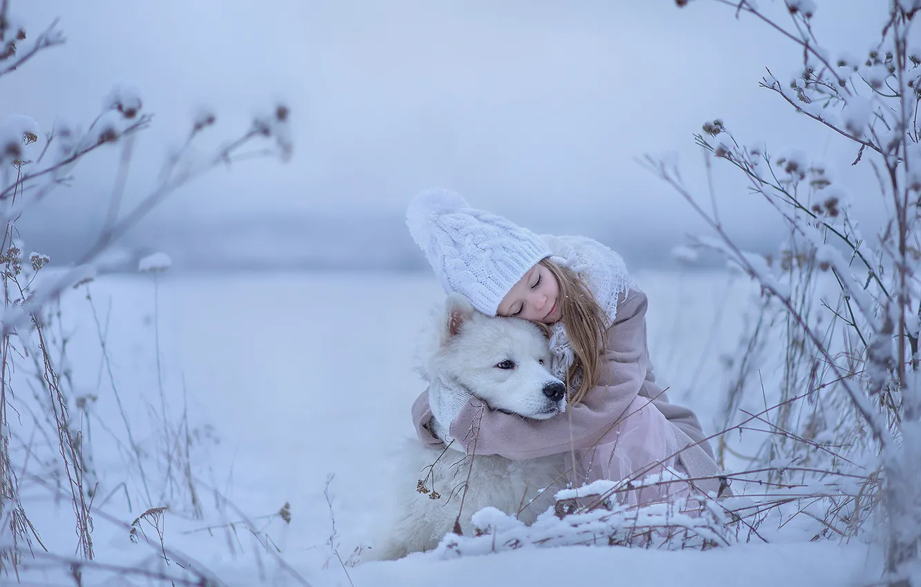 Photo wallpaper winter, each, mood, dog, friendship, girl, hugs, Samoyed