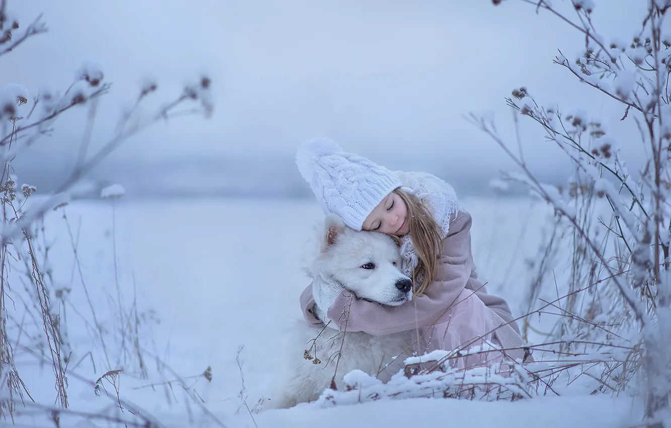Photo wallpaper winter, mood, dog, friendship, girl, friends, hugs, Samoyed