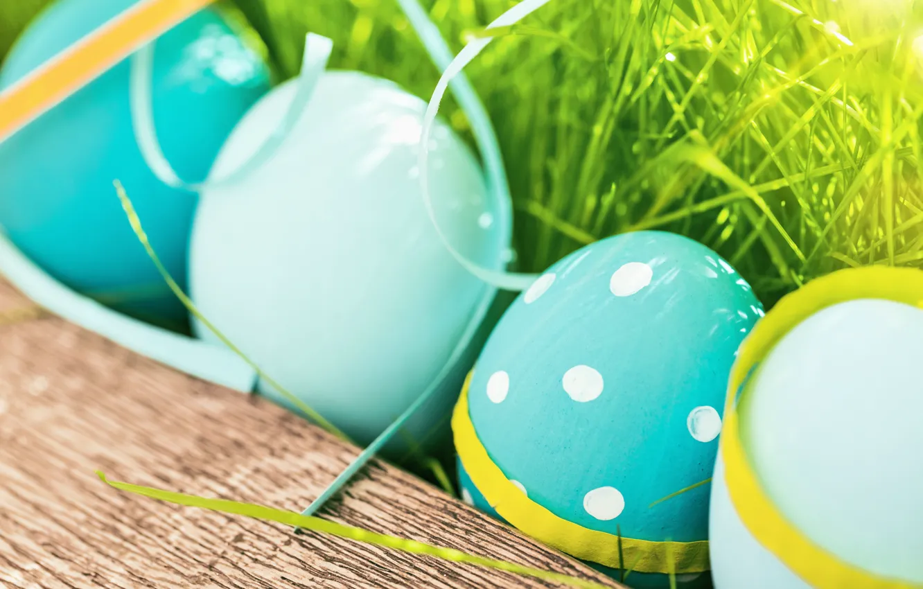 Photo wallpaper grass, flowers, eggs, spring, Easter, flowers, spring, Easter