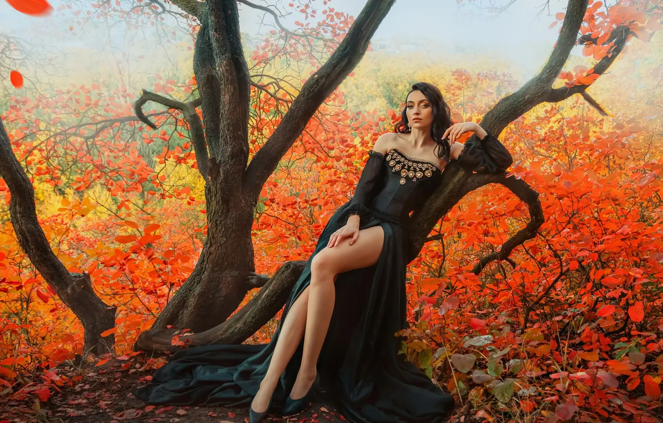 Photo wallpaper girl, dress, legs, nature, model