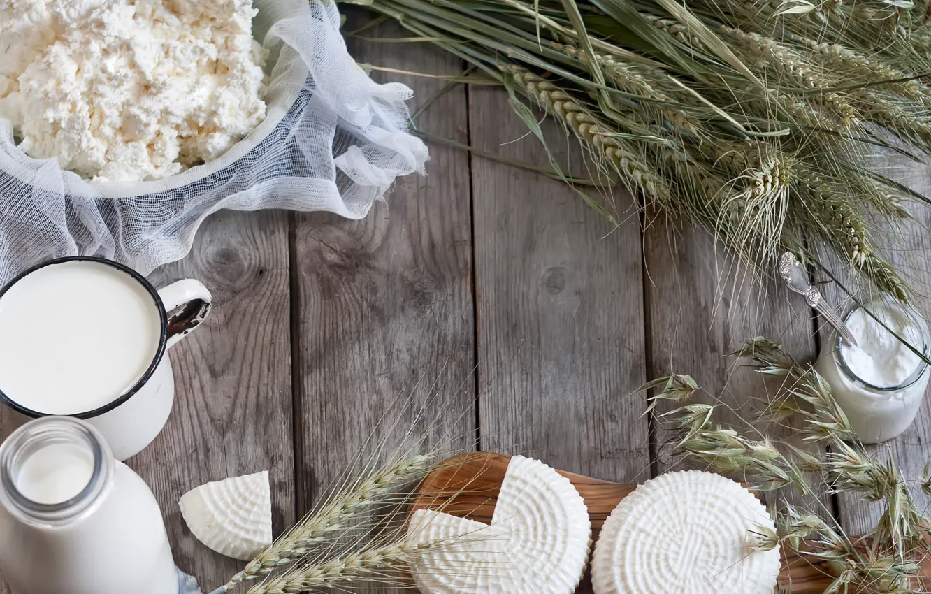 Photo wallpaper cheese, milk, cheese, milk, cheese, dairy products, cottage cheese, Dairy products