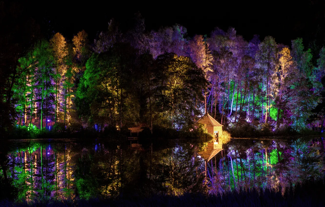 Photo wallpaper forest, trees, night, lights, Park, house