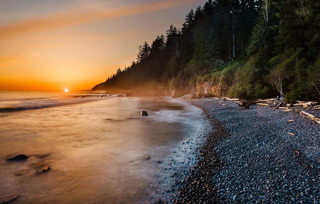 Photo wallpaper waves, forest, beach, twilight, trees, sea, landscape, nature