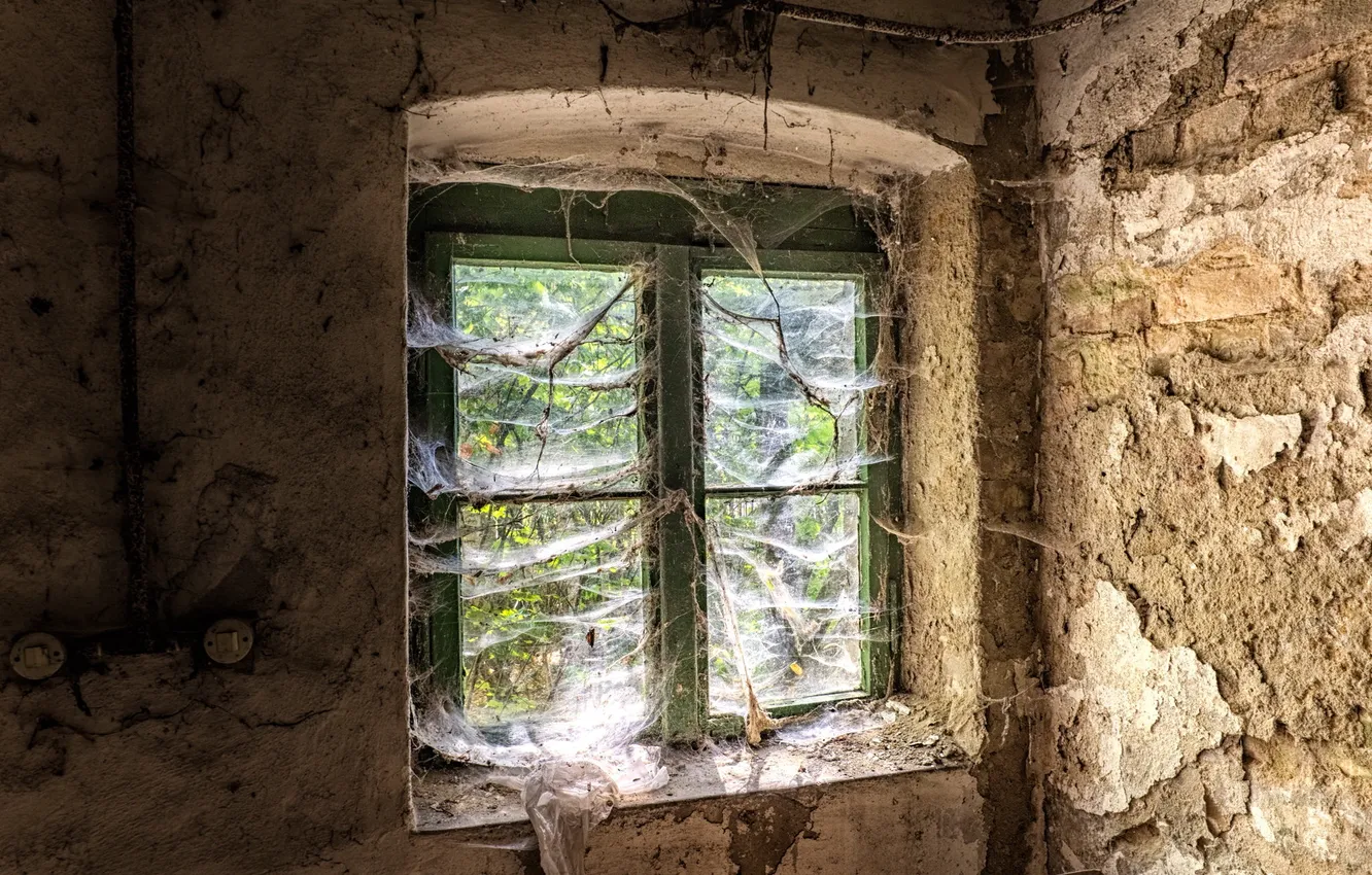 Photo wallpaper background, room, window