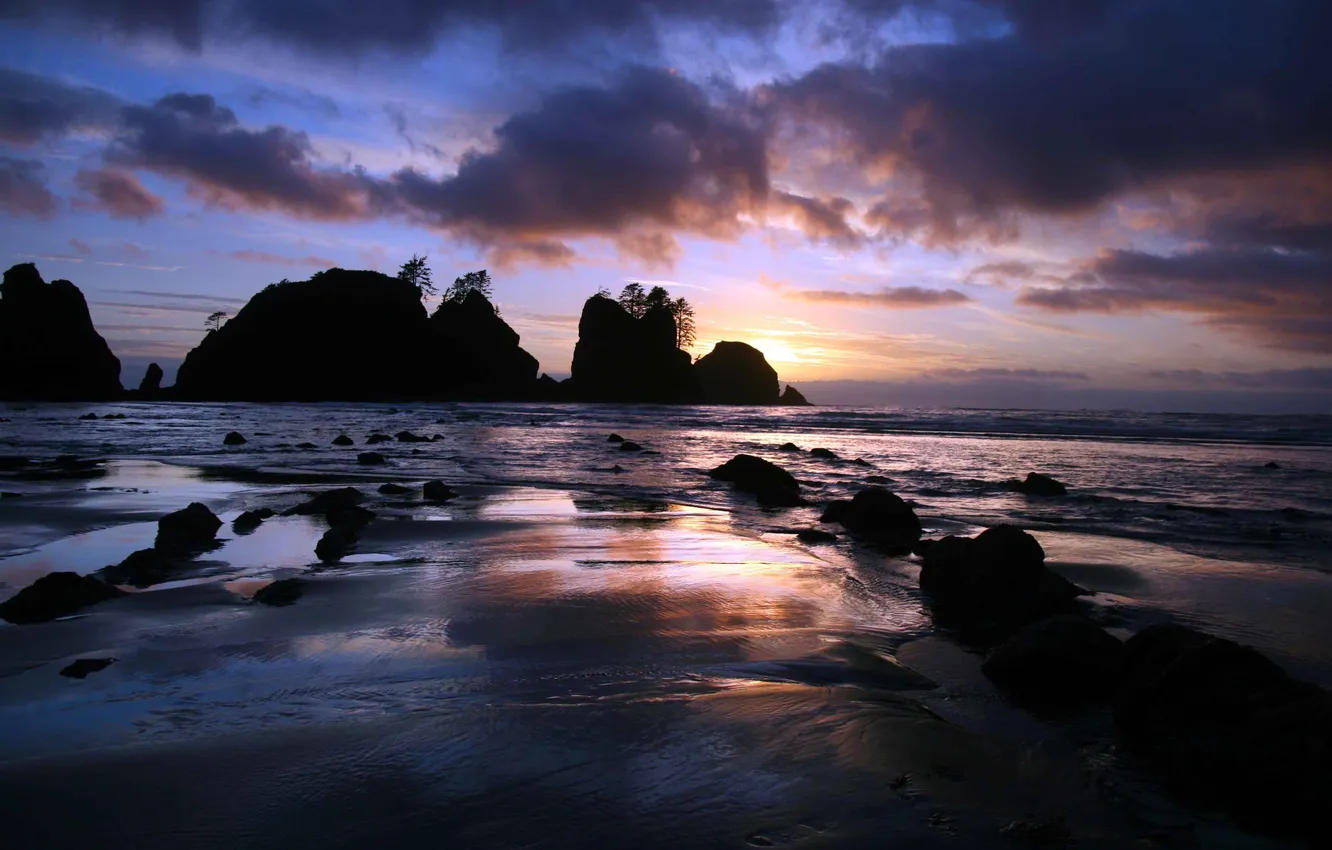 Photo wallpaper sand, summer, trees, sunset, Park, reflection, stones, palm trees