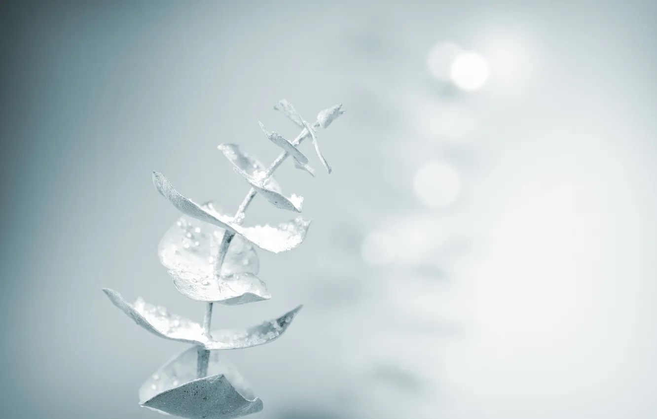 Photo wallpaper snow, soft, magic touch