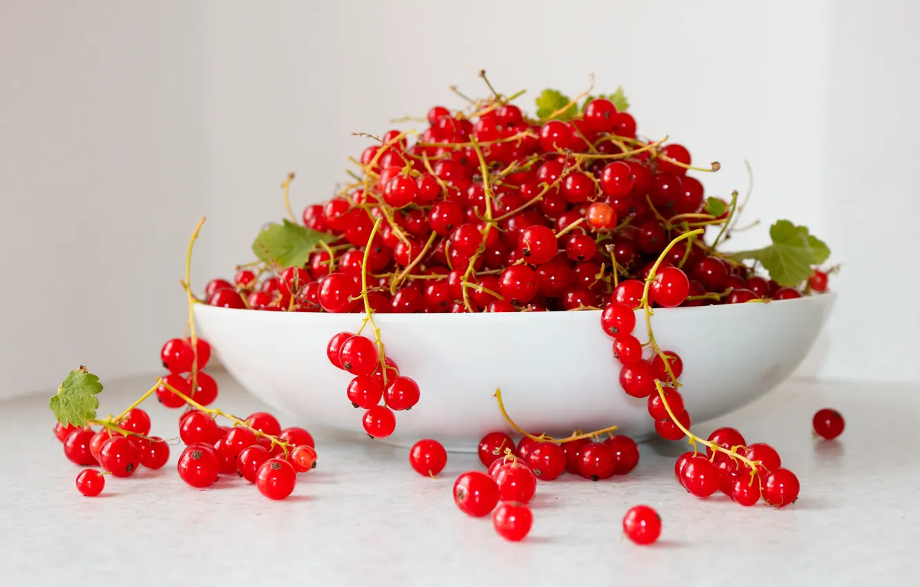 Photo wallpaper red, berries, table, plate, bowl, placer, light background, currants