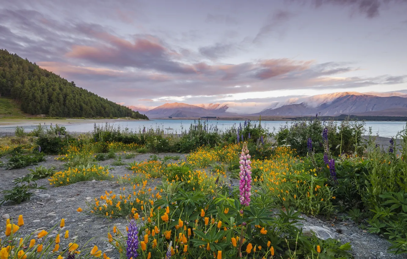 Photo wallpaper the sky, grass, clouds, flowers, mountains, lake