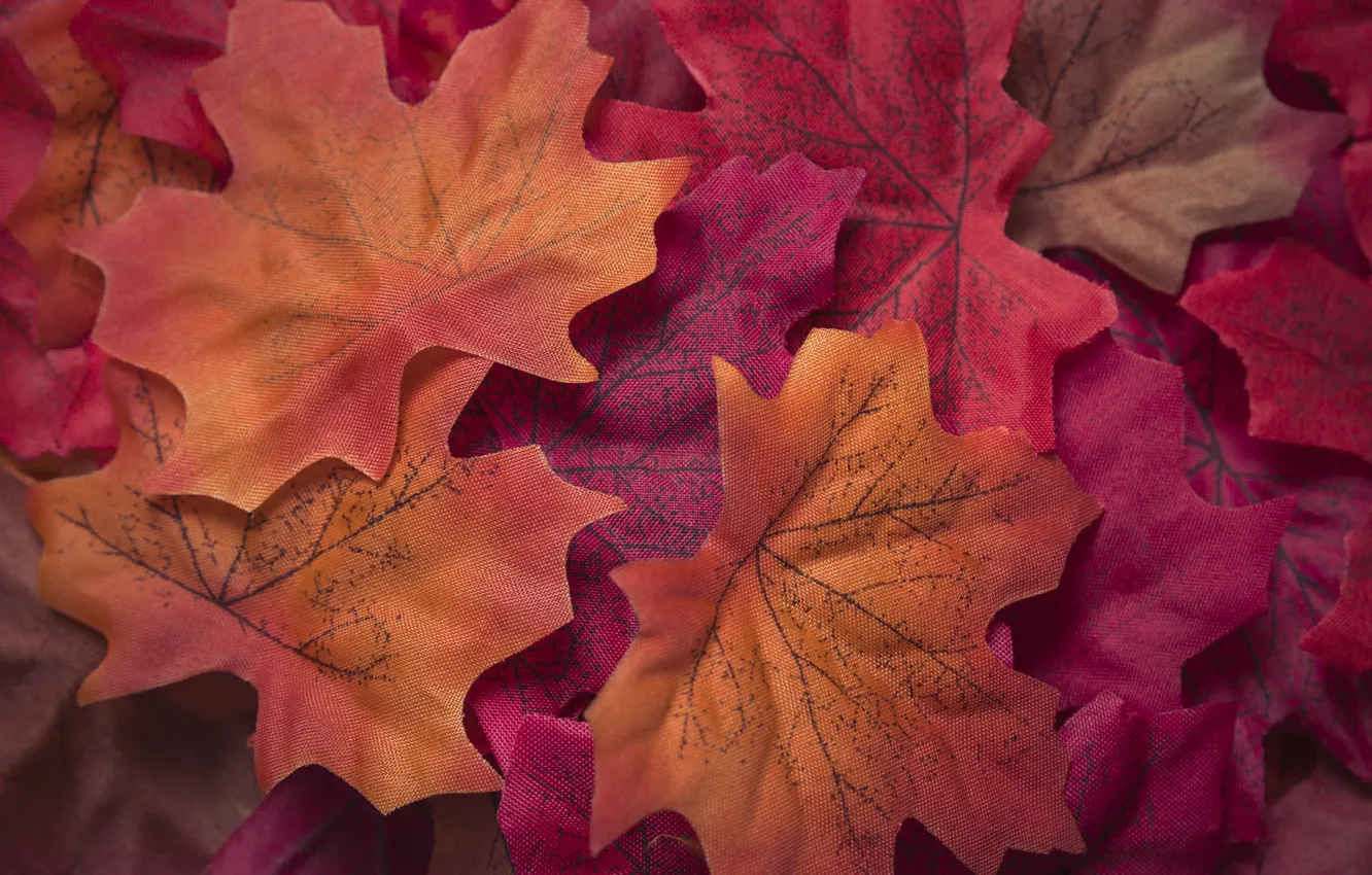Photo wallpaper autumn, leaves, background, colorful, red, maple, background, autumn