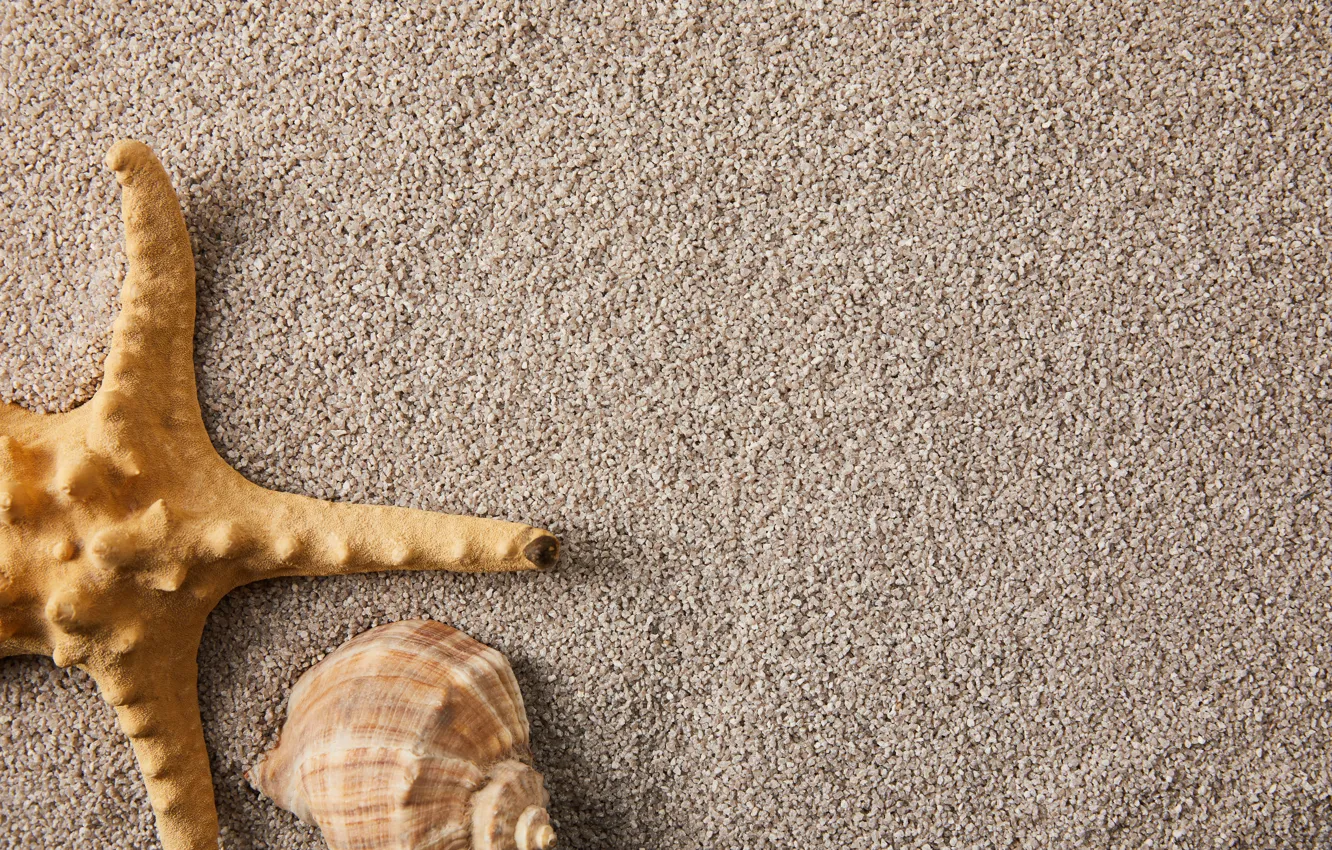 Photo wallpaper sand, summer, nature, shell, starfish