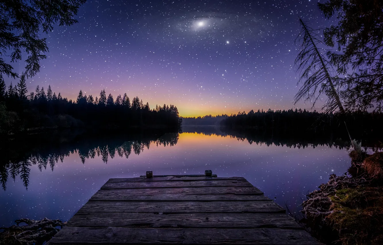 Photo wallpaper forest, the sky, trees, landscape, night, nature, lake, lights