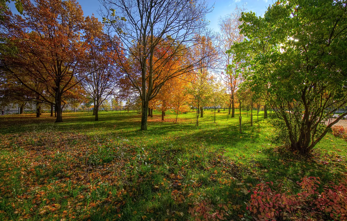 Photo wallpaper autumn, Park, Saint Petersburg, Russia, Kurakin Dacha