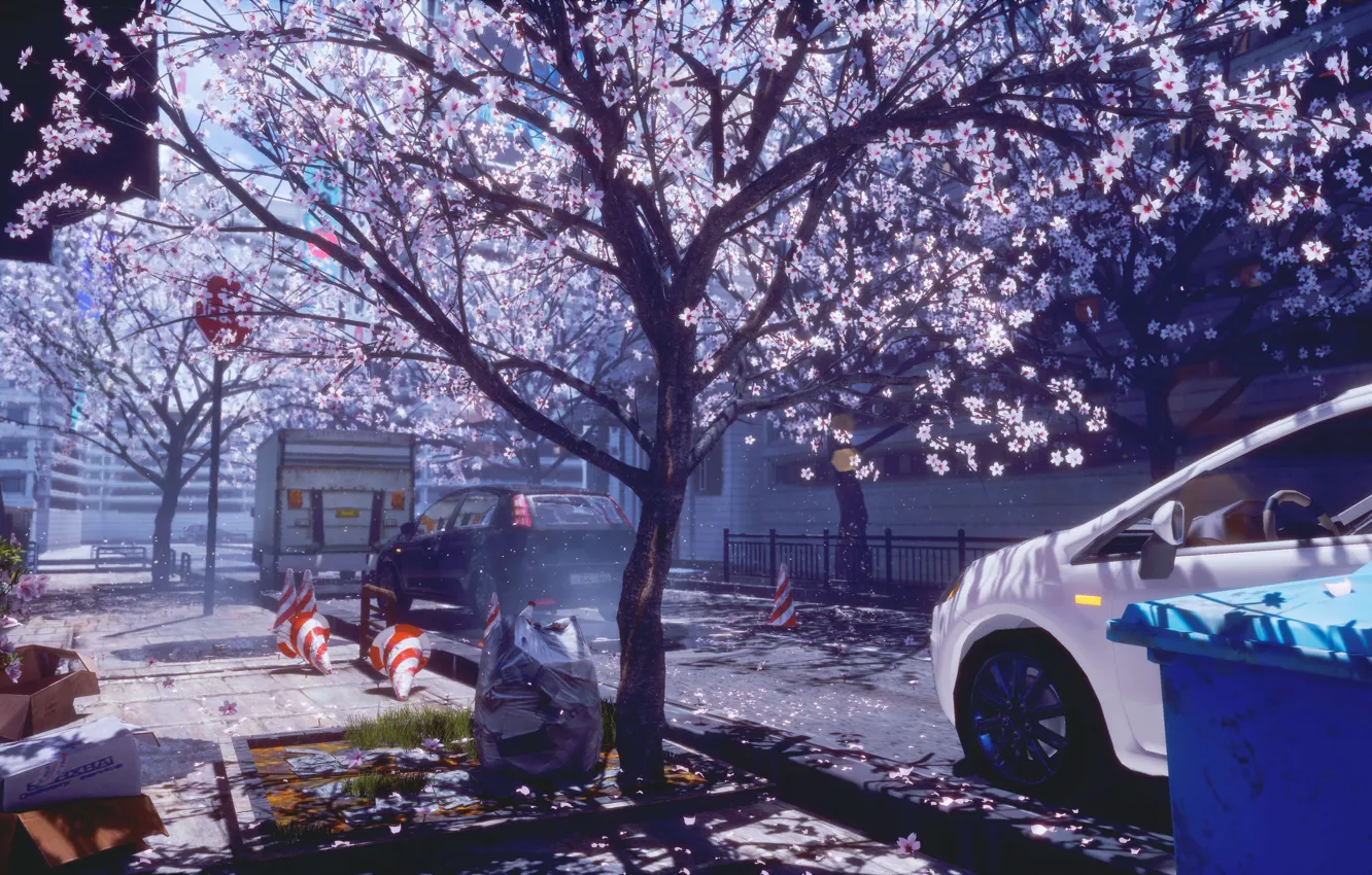 Photo wallpaper auto, the city, spring, Sakura