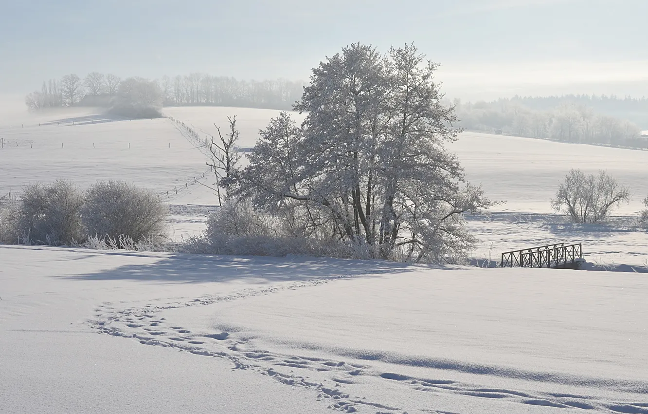 Photo wallpaper winter, field, snow