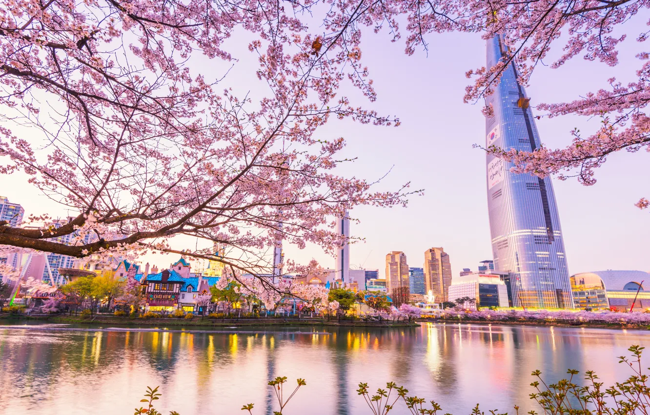 Photo wallpaper landscape, city, the city, cherry, spring, Sakura, flowering, South Korea