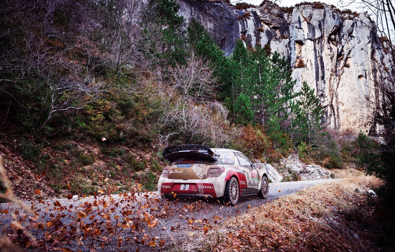 Photo wallpaper Mountains, Rocks, Leaves, Sport, Machine, Citroen, Citroen, DS3