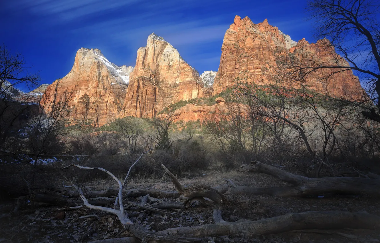 Photo wallpaper the sky, trees, mountains